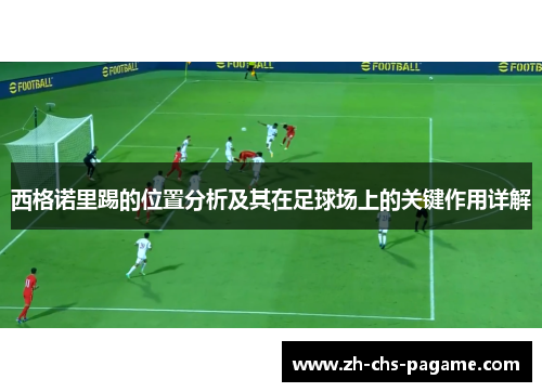 西格诺里踢的位置分析及其在足球场上的关键作用详解 西格诺里踢的位置分析及其在足球场上的关键作用详解