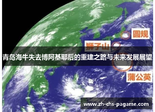 青岛海牛失去博阿基耶后的重建之路与未来发展展望 青岛海牛失去博阿基耶后的重建之路与未来发展展望