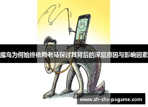魔鸟为何始终依赖老马探讨其背后的深层原因与影响因素 魔鸟为何始终依赖老马探讨其背后的深层原因与影响因素